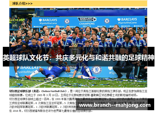 英超球队文化节：共庆多元化与和谐共融的足球精神