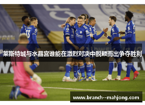 莱斯特城与水晶宫谁能在激烈对决中脱颖而出争夺胜利
