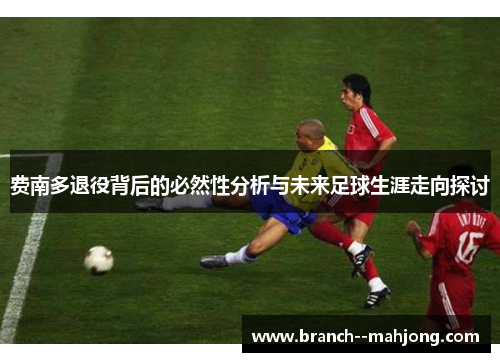 费南多退役背后的必然性分析与未来足球生涯走向探讨 费南多退役背后的必然性分析与未来足球生涯走向探讨