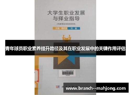 青年球员职业素养提升路径及其在职业发展中的关键作用评估 青年球员职业素养提升路径及其在职业发展中的关键作用评估