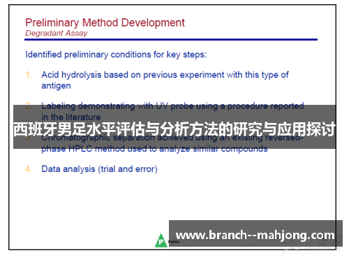 西班牙男足水平评估与分析方法的研究与应用探讨 西班牙男足水平评估与分析方法的研究与应用探讨