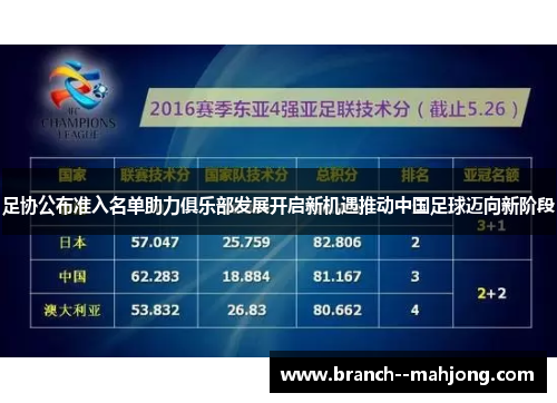 足协公布准入名单助力俱乐部发展开启新机遇推动中国足球迈向新阶段