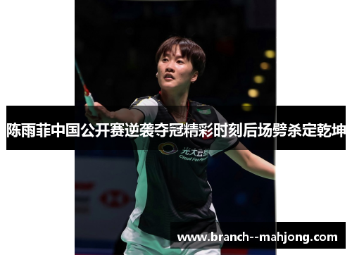 陈雨菲中国公开赛逆袭夺冠精彩时刻后场劈杀定乾坤