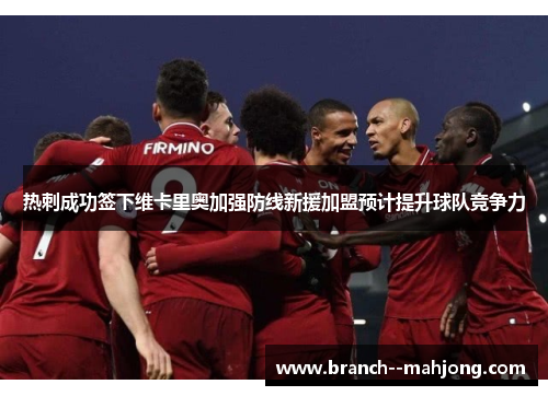 热刺成功签下维卡里奥加强防线新援加盟预计提升球队竞争力