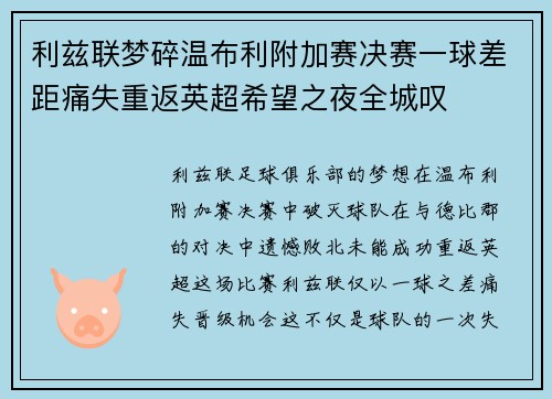 利兹联梦碎温布利附加赛决赛一球差距痛失重返英超希望之夜全城叹